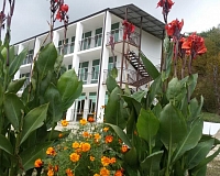 Санаторий Мечта (Абхазия)