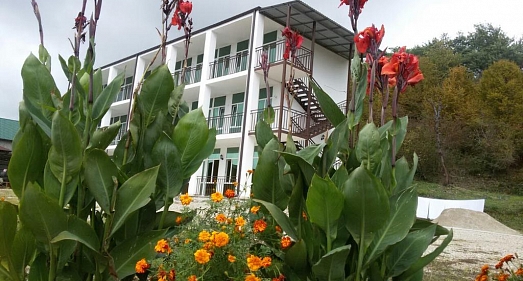 Отель Мечта Пицунда - официальный сайт