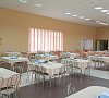 Сосны Могилевская область