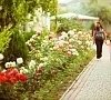 Отель «Нарлен» Коктебель, Крым #29