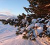 База отдыха «Алекка» Карелия