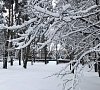 Санаторий «Елочки» Домодедово #29 Санаторий «Елочки» Домодедово #29