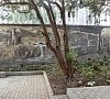 Гостевой дом «Белый» Новый Афон, Абхазия #21