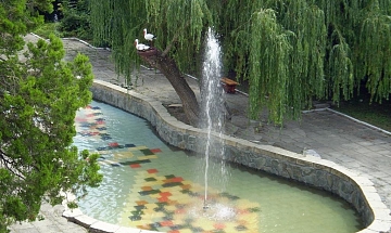 IMG