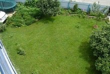 Гостевой дом «Айсберг» Пицунда, Абхазия #2