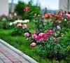 Отель «Нарлен» Коктебель, Крым #40