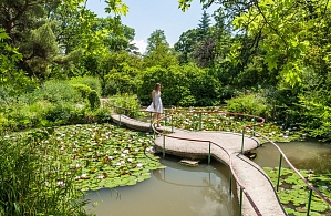 Фотографии объекта
							Санаторий «Форос» Ялта, Крым