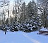 Санаторий «Елочки» Домодедово #28 Санаторий «Елочки» Домодедово #28