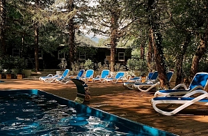 Фотографии объекта
							СПА-отель «ЛЕС» Сочи, село Чвижепсе