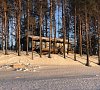База отдыха «Белые ночи» Карелия