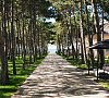 Отель Alma Park Resort Песчаное Отель Alma Park Resort Песчаное