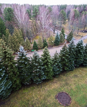 Путевки в санатории Гомельской области